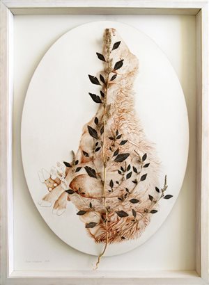 اعظم قنبری