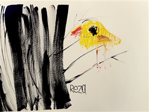 می ترسم بپرم !!